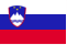 Slovenian