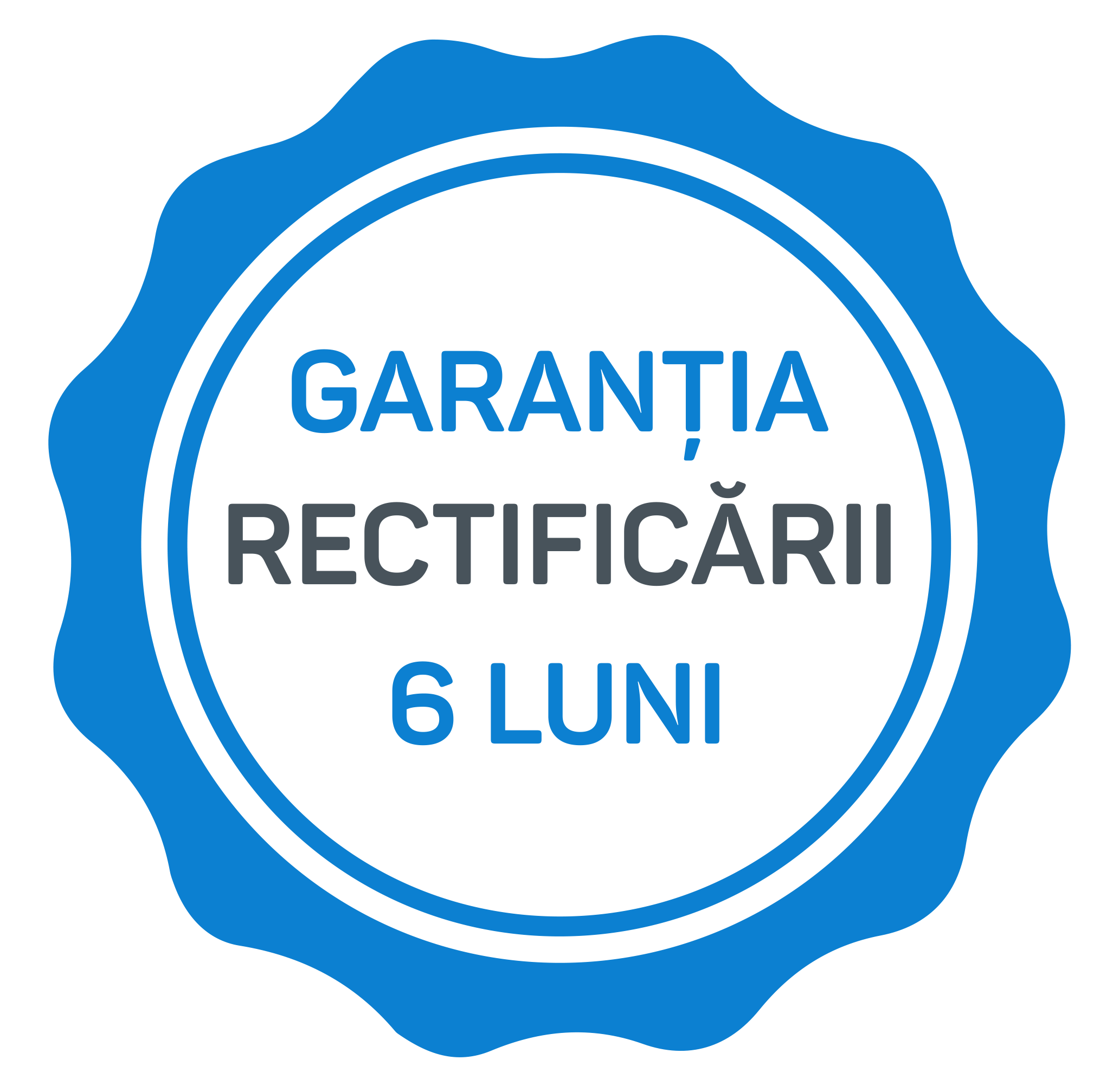 Garantia rectificarii